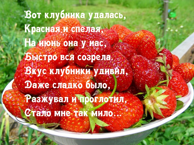 Прикольные картинки про клубнику