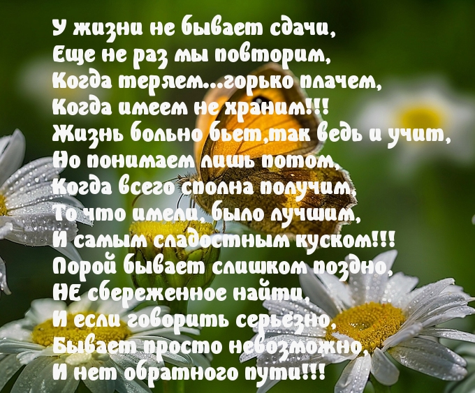 Стихи с картинками про жизнь