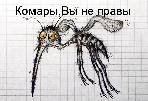 Комары, Вы не правы.