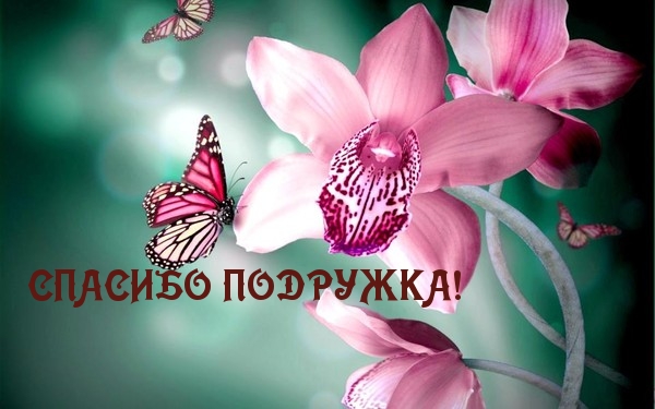   :  !