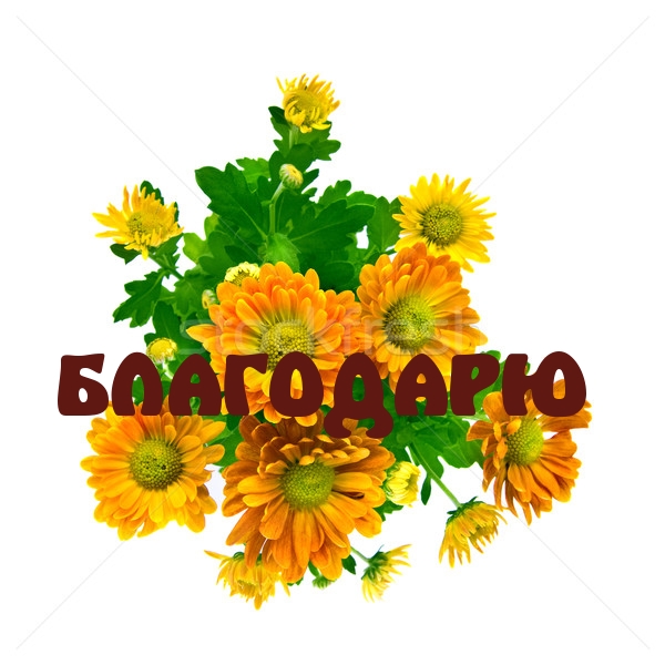 БЛАГОДАРЮ.