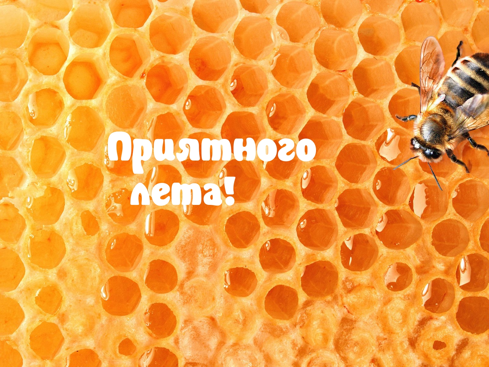 Приятного   лета!