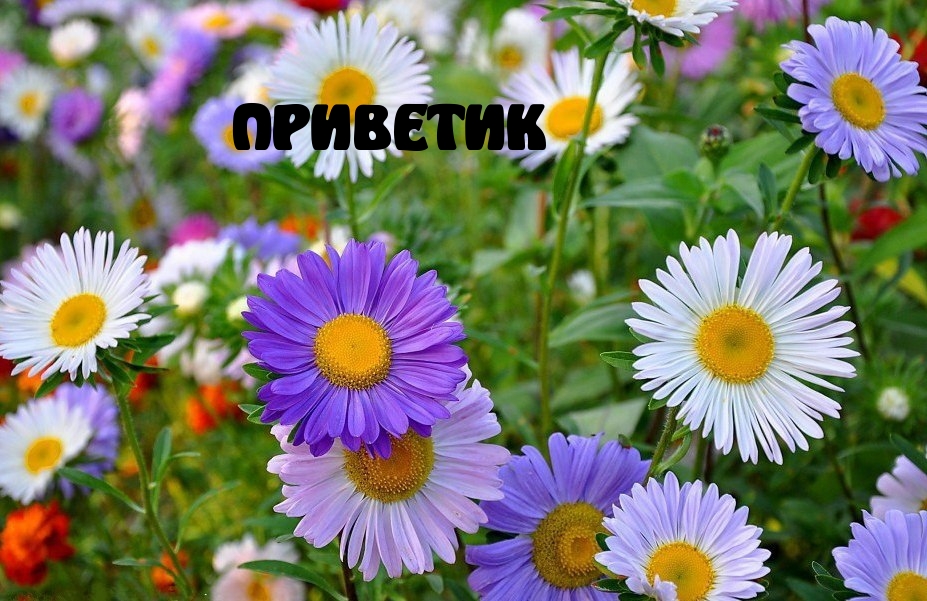   : 