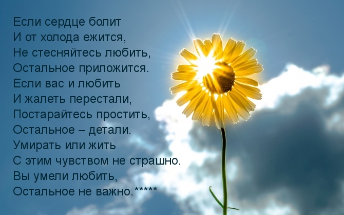   :  -   