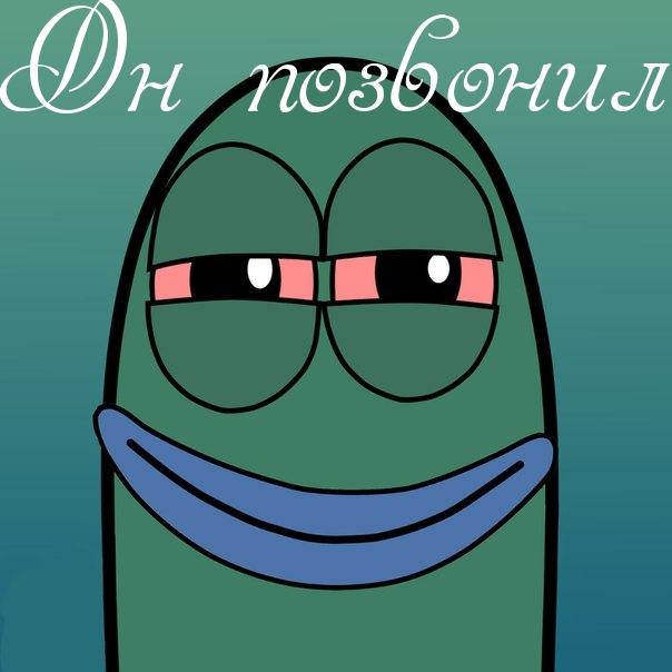   :   