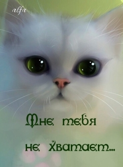   :    ...