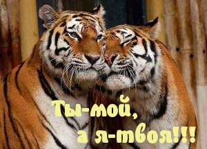   : -,  -!