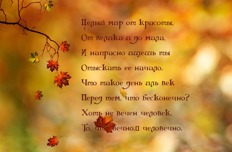   : ,  ,  