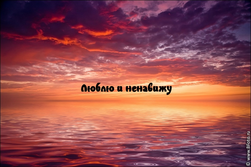   :   