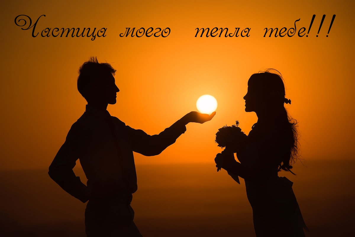   :  