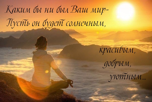   :   
