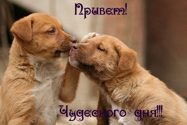   : !