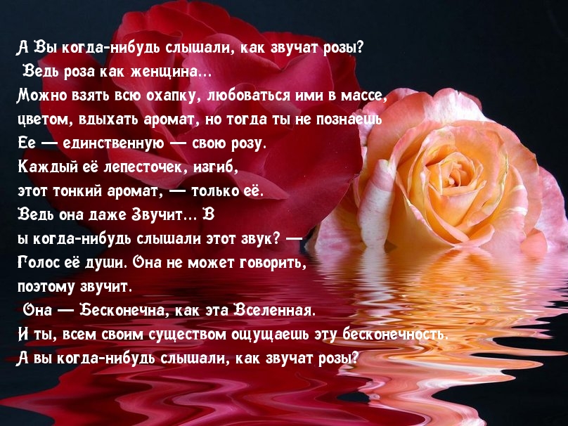 Красивые стихи картинки. Стихи. Красивые стихи. Стих про розу. Прекрасное розы и стихи.