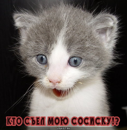   :    ?