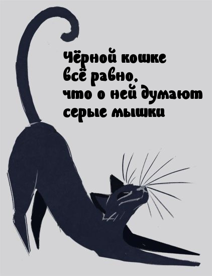   :   