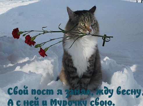 С весной ждём своё.