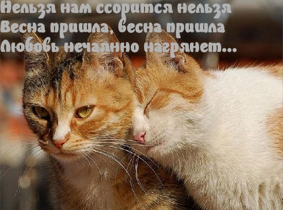 Весна пришла - ссорам конец.