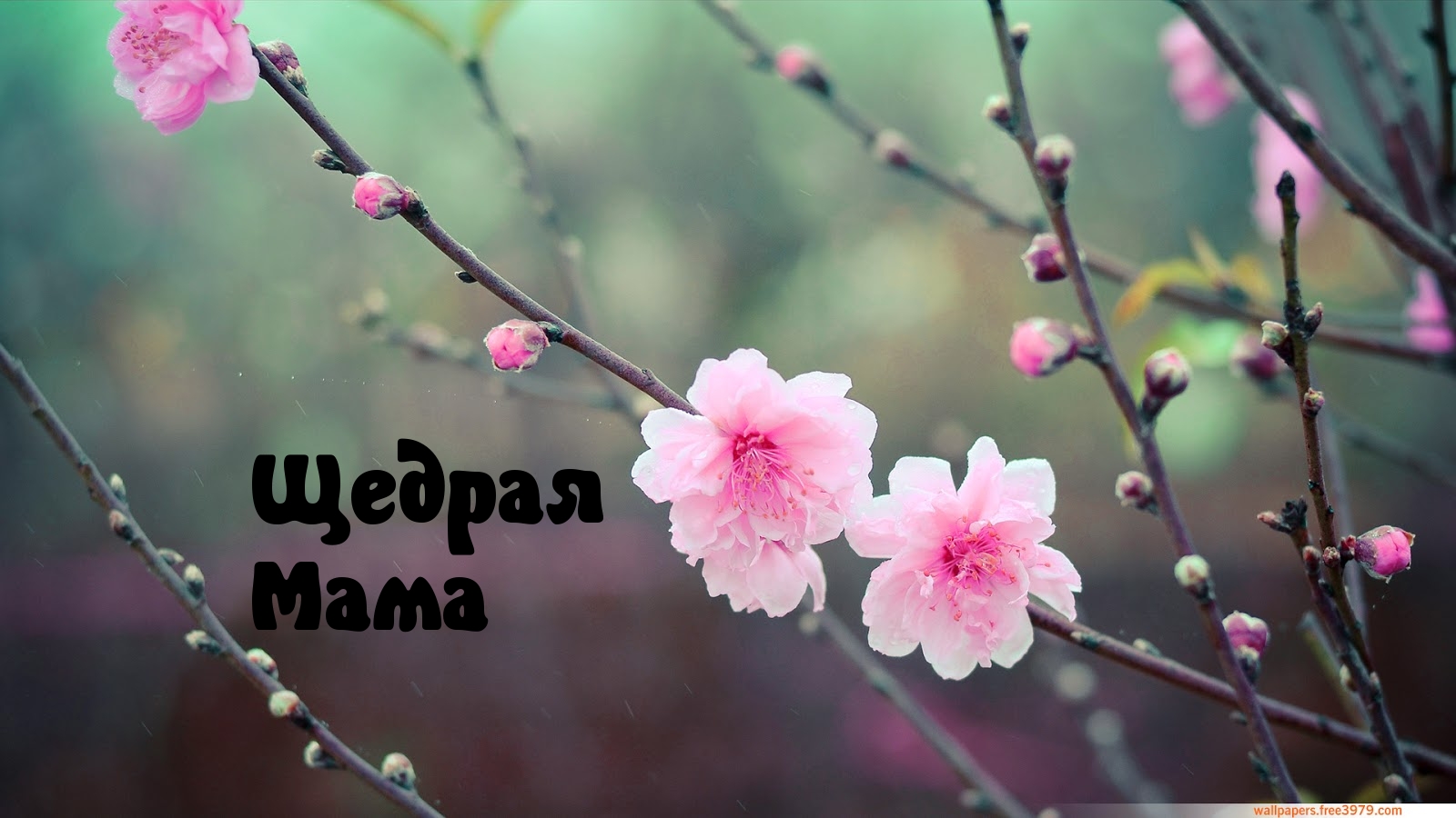 Щедрая  Мама