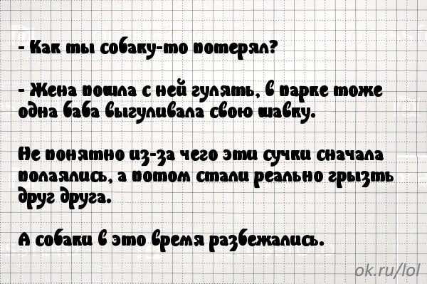 Картинки с надписями Как ты собаку-то потерял?