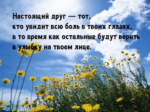 Есть друзья как звезды. Надпись настоящие друзья. Настоящий друг. Ты настоящий друг. Настоящий друг надпись.