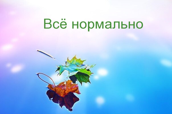   :  