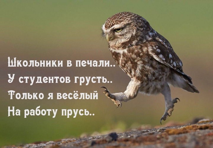   :      