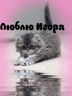   :  