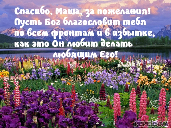 Машенька спасибо картинки