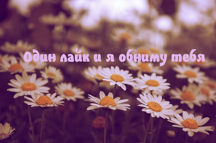   :      