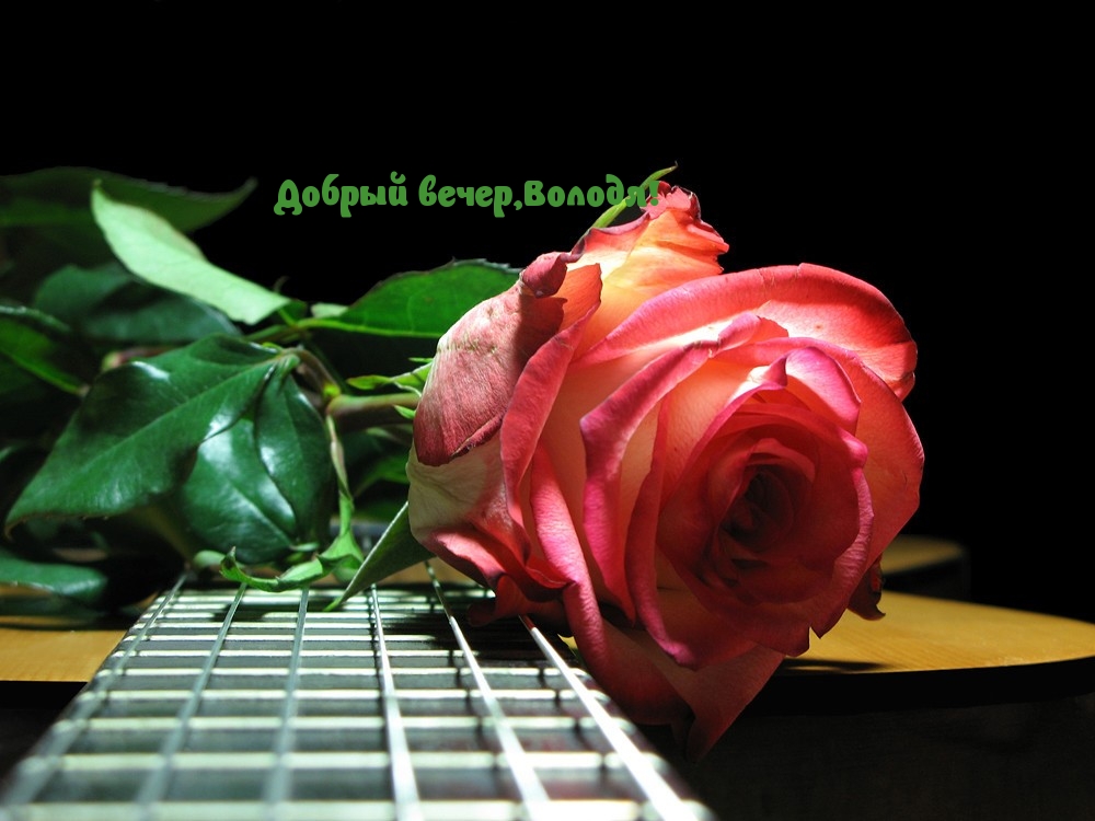 Музыкальные открытка другу. Розы для тебя. Эти розы для тебя. Открытки добрый вечер. Прекрасного вечера.