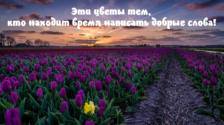  : ,       