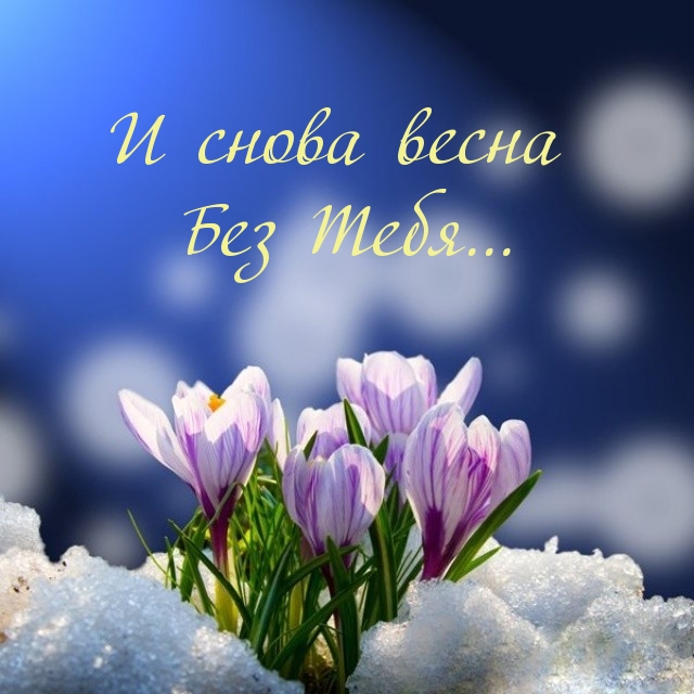   :     ...