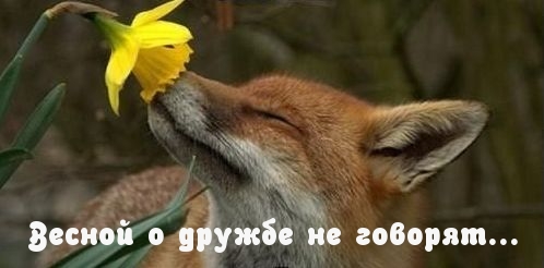   :     ...