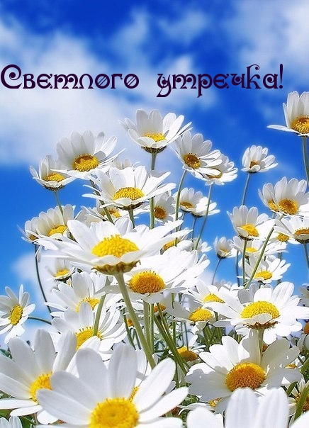 Картинка с надписью: Светлого утречка!