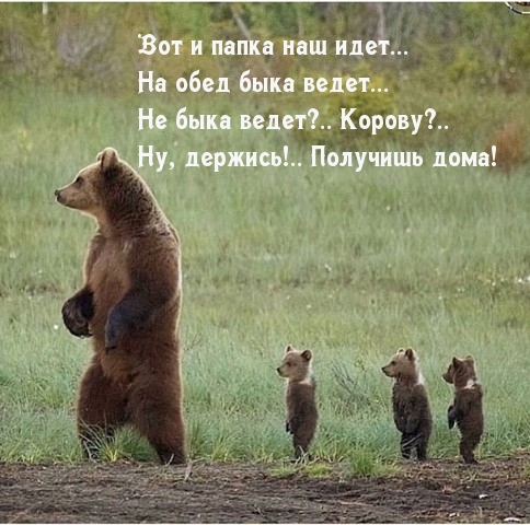 Вот и папка наш идет....