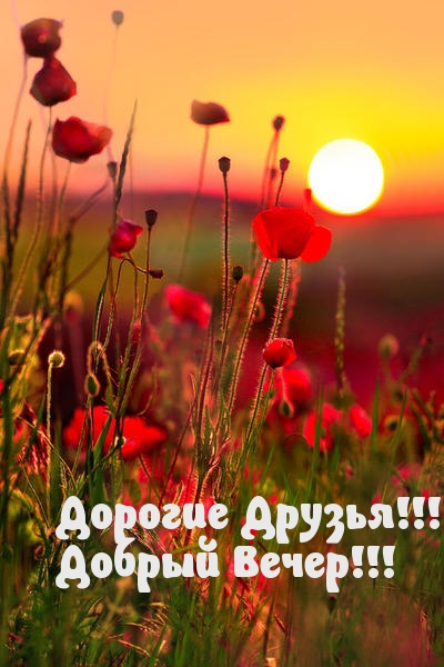 Добрый Вечер!.