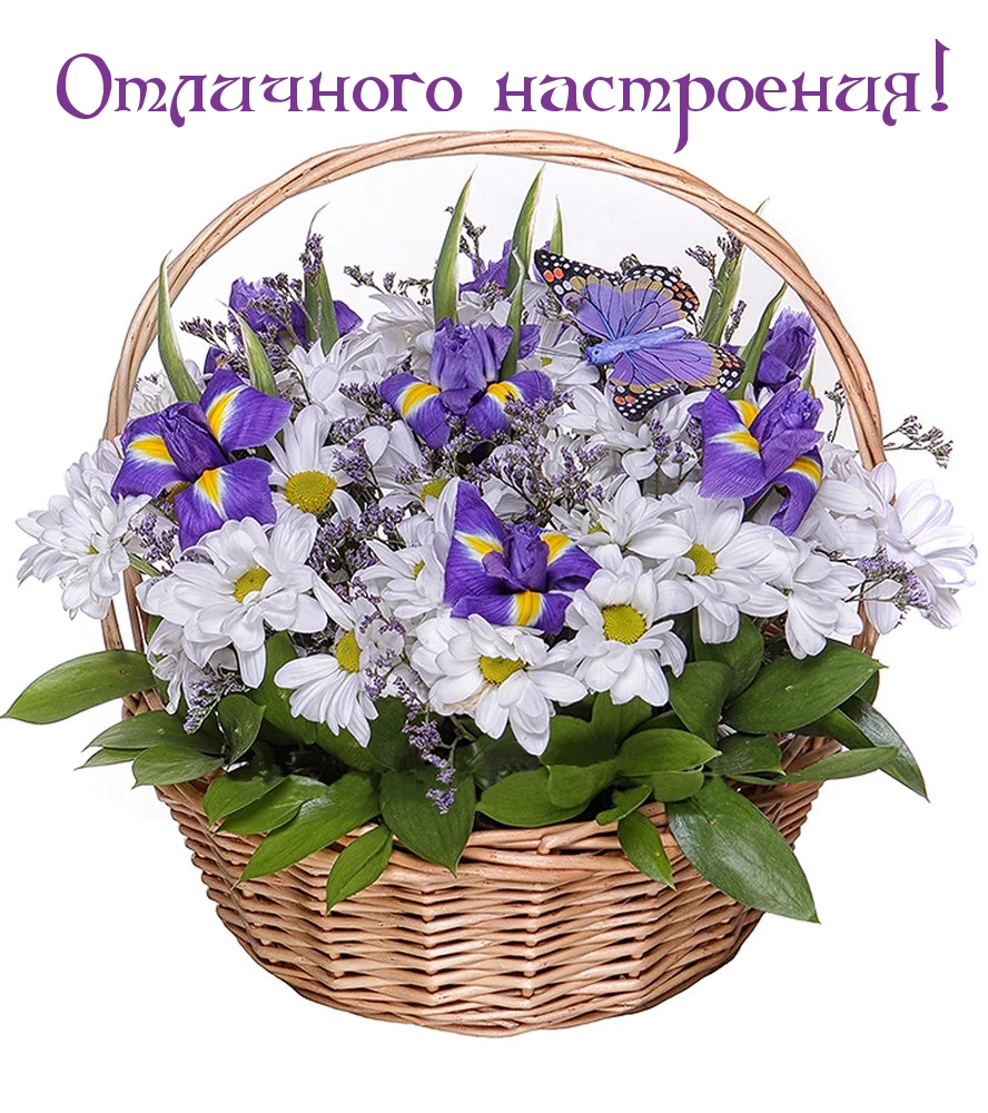 Отличного настроения!