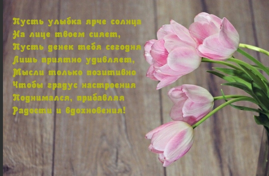   :    