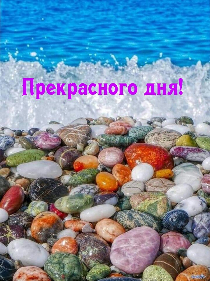   :  !