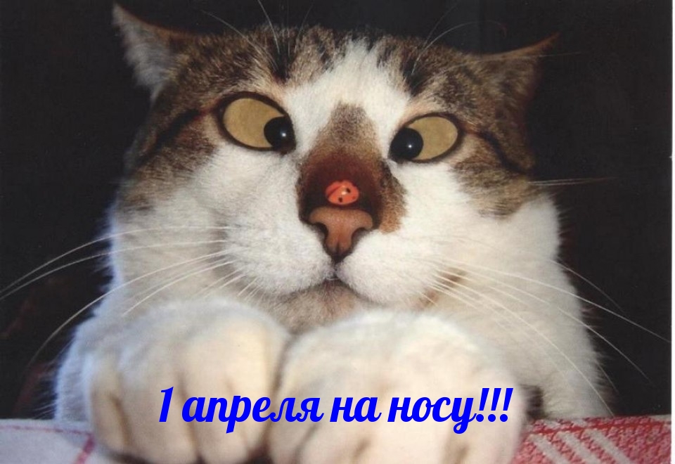 Картинка с надписью: 1 апреля на носу!