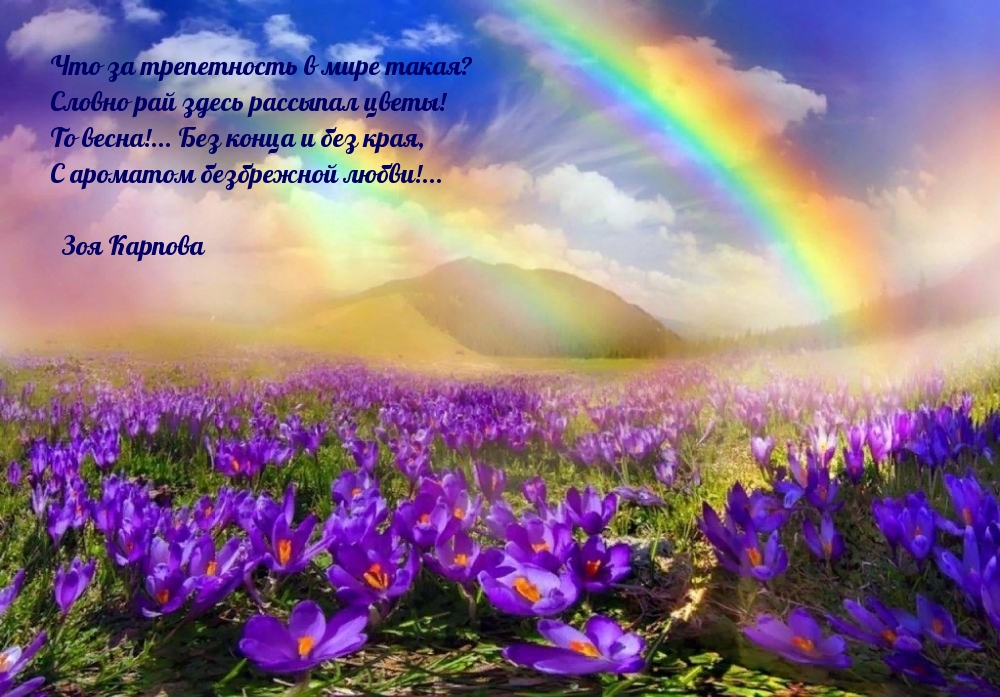 То весна!... Без конца и без края