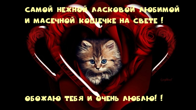 Обожаю тебя и очень люблю!