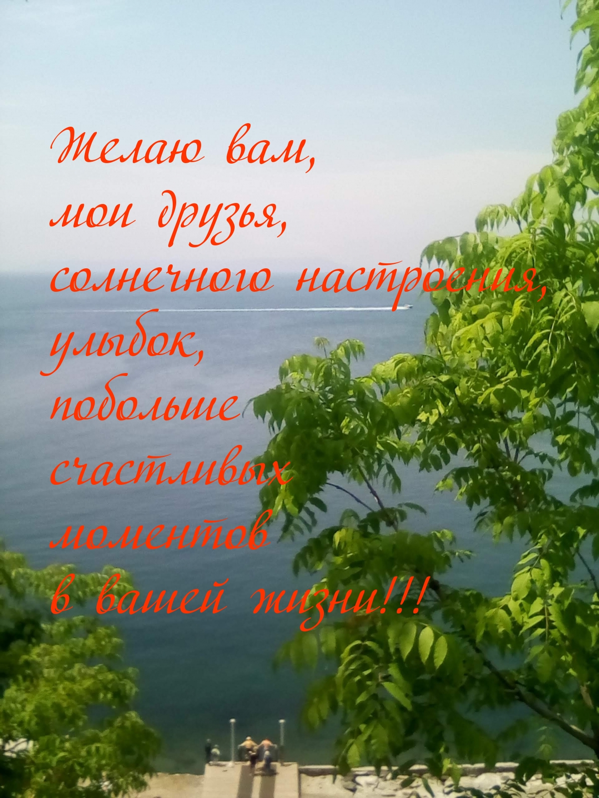   :  ,    !