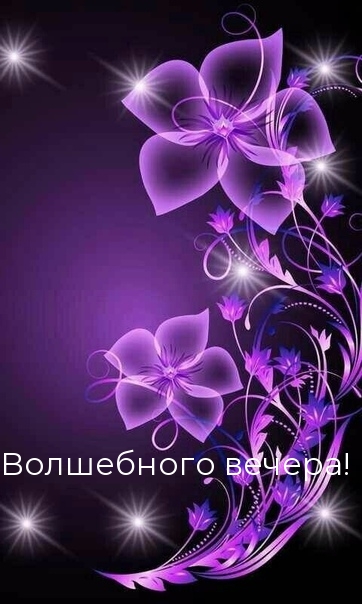 Волшебного вечера!.