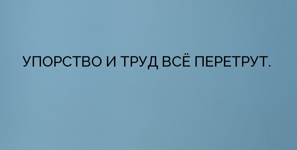 Работа и труд все перетрут картинки прикольные