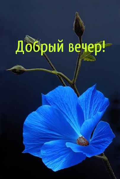   :  !