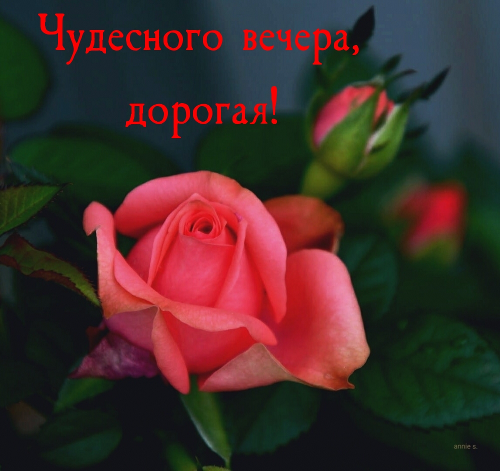 Чудесного вечера, дорогая!