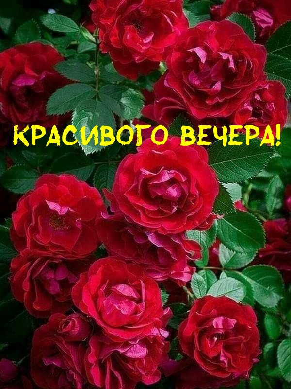   :  !