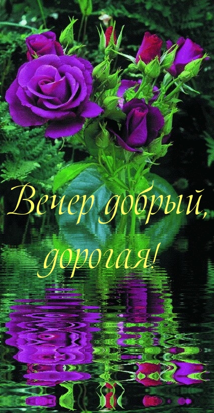  , !.