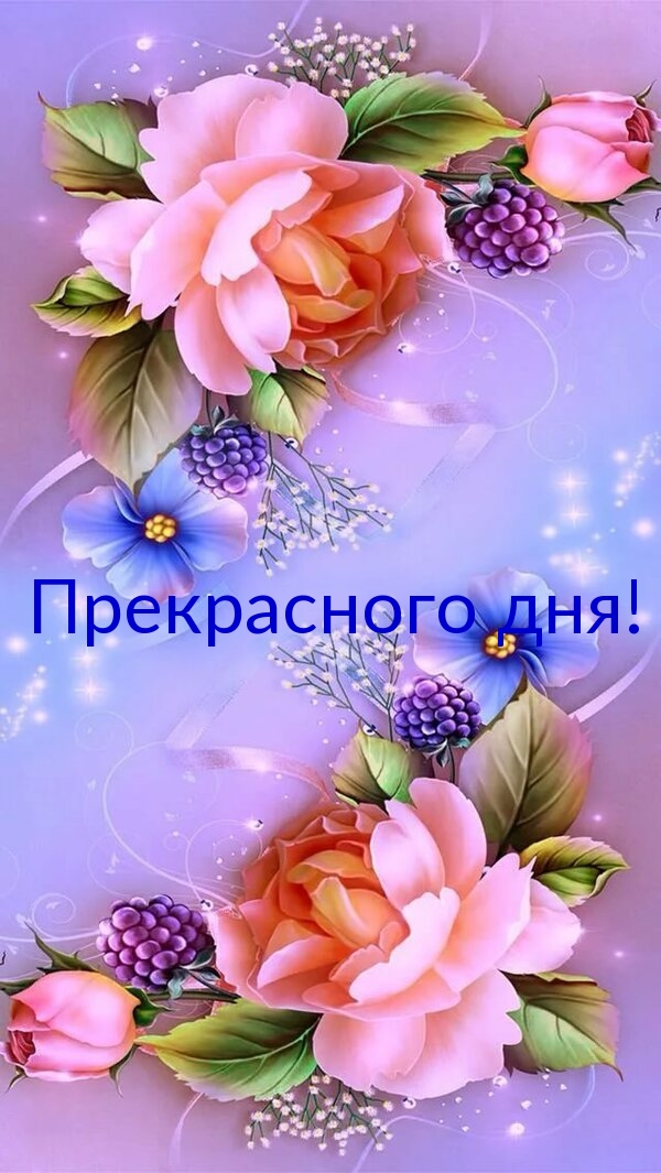 Картинка с надписью: Прекрасного дня!